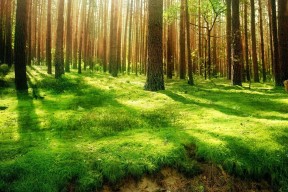 世界体能恢复科研成果转化首批项目进入试点，世界体能大赛