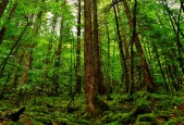 世界举重公开赛优秀运动员康复计划公布，世界举重冠军